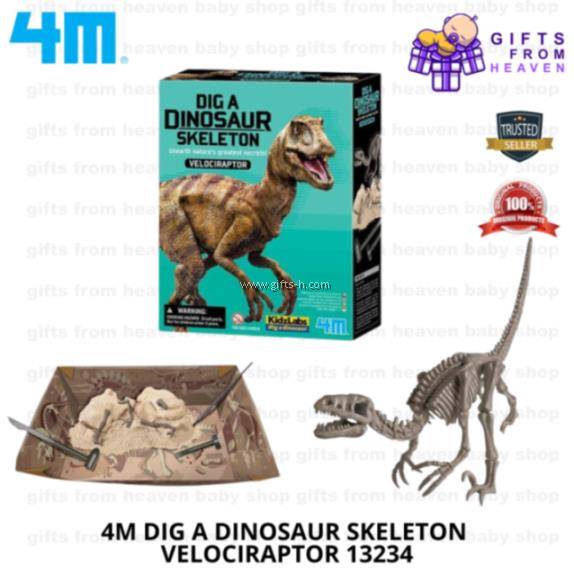 4M Dig A Dinosaur Skeleton