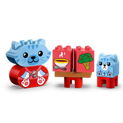 10414 Daily Routines: Eating & Bedtime 2