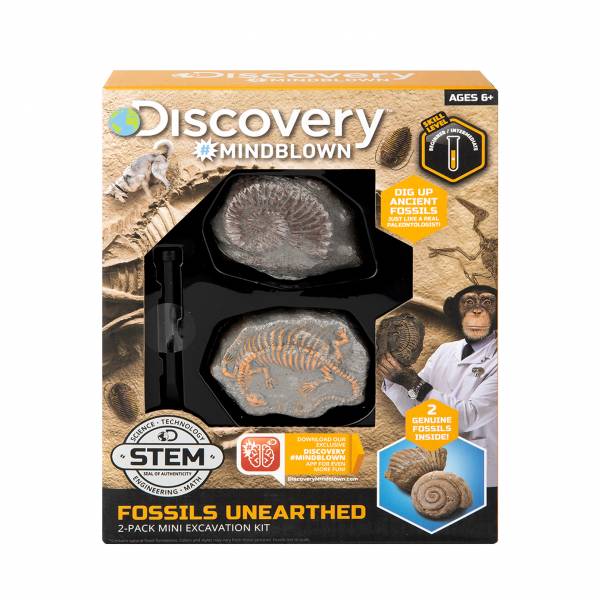 DISCOVERY EXCAVATION KIT MINI FOSSIL 2PC
