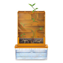 4M Kids Labs/Green Sci-Grow-A-Maze
