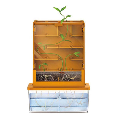 4M Kids Labs/Green Sci-Grow-A-Maze
