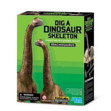 4M Kidz Labs - Dig A Brachiosaurus 1