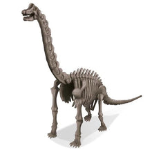 4M Kidz Labs - Dig A Brachiosaurus 2
