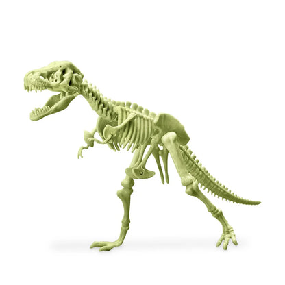 4M Kidz Labs - Glowing T-Rex Skeleton 2