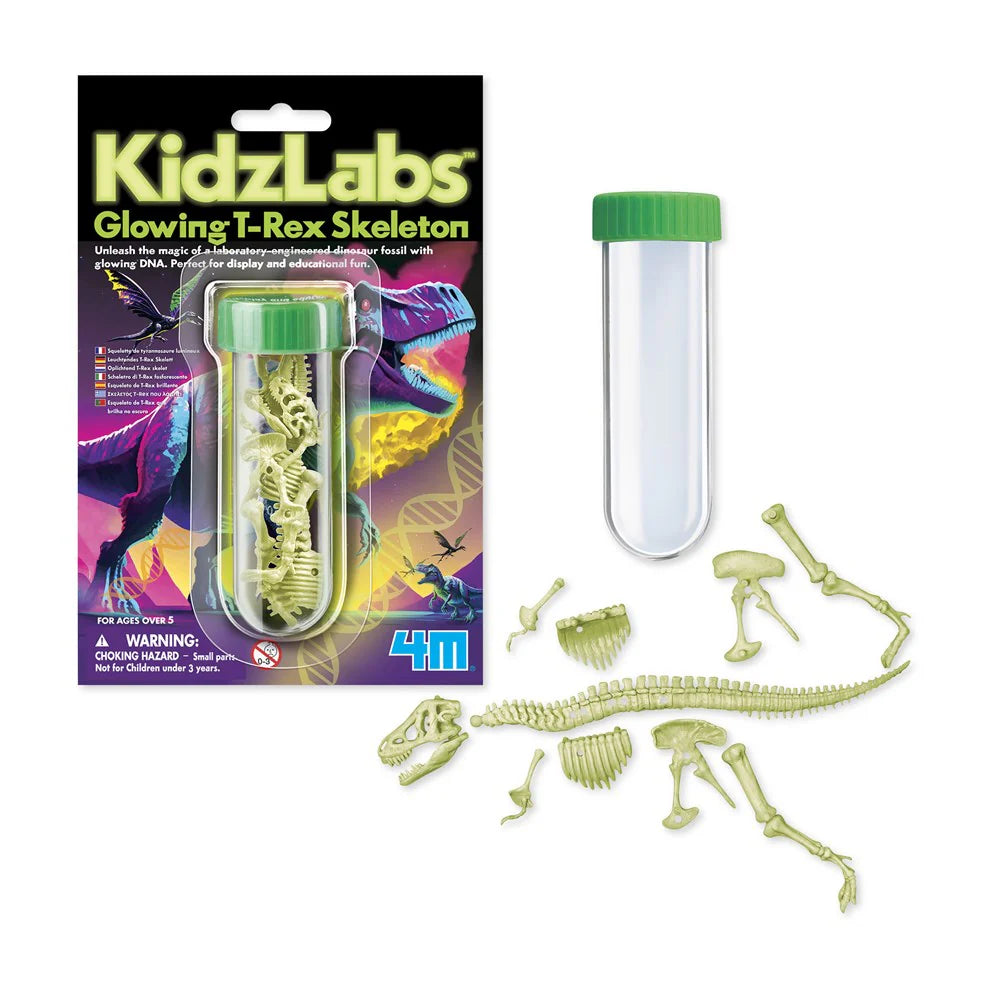 4M Kidz Labs - Glowing T-Rex Skeleton 3