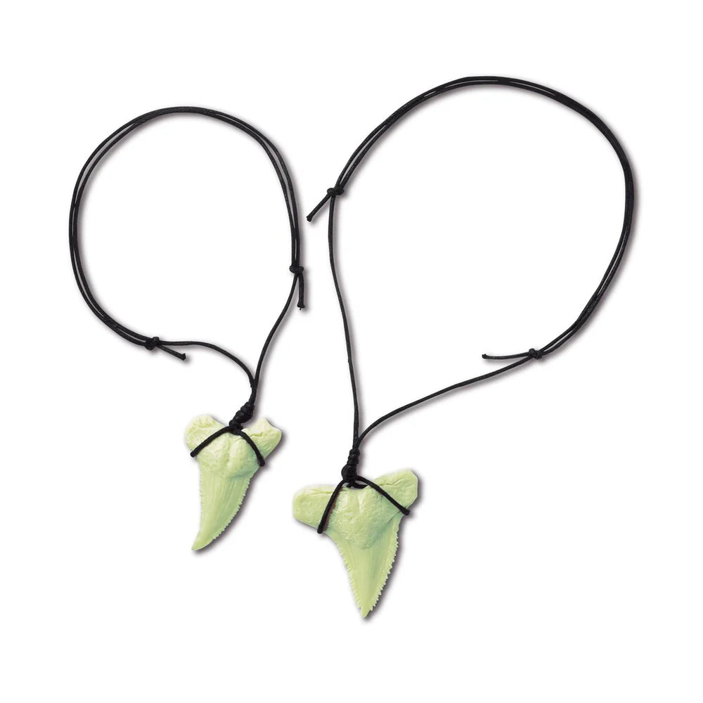 4M Kidz Labs Dig Glow Shark Tooth Fossils 2