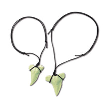 4M Kidz Labs Dig Glow Shark Tooth Fossils 2