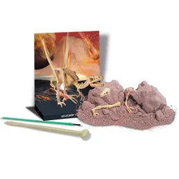 4M احفر هيكل عظمي لديناصور