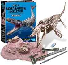 4M Kidzlabs - احفر هيكل عظمي لموساسوروس