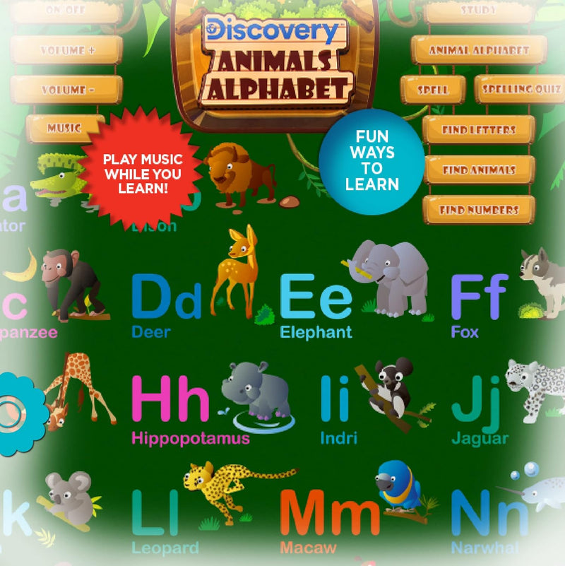 Discovery Interactive Alphabet Learning