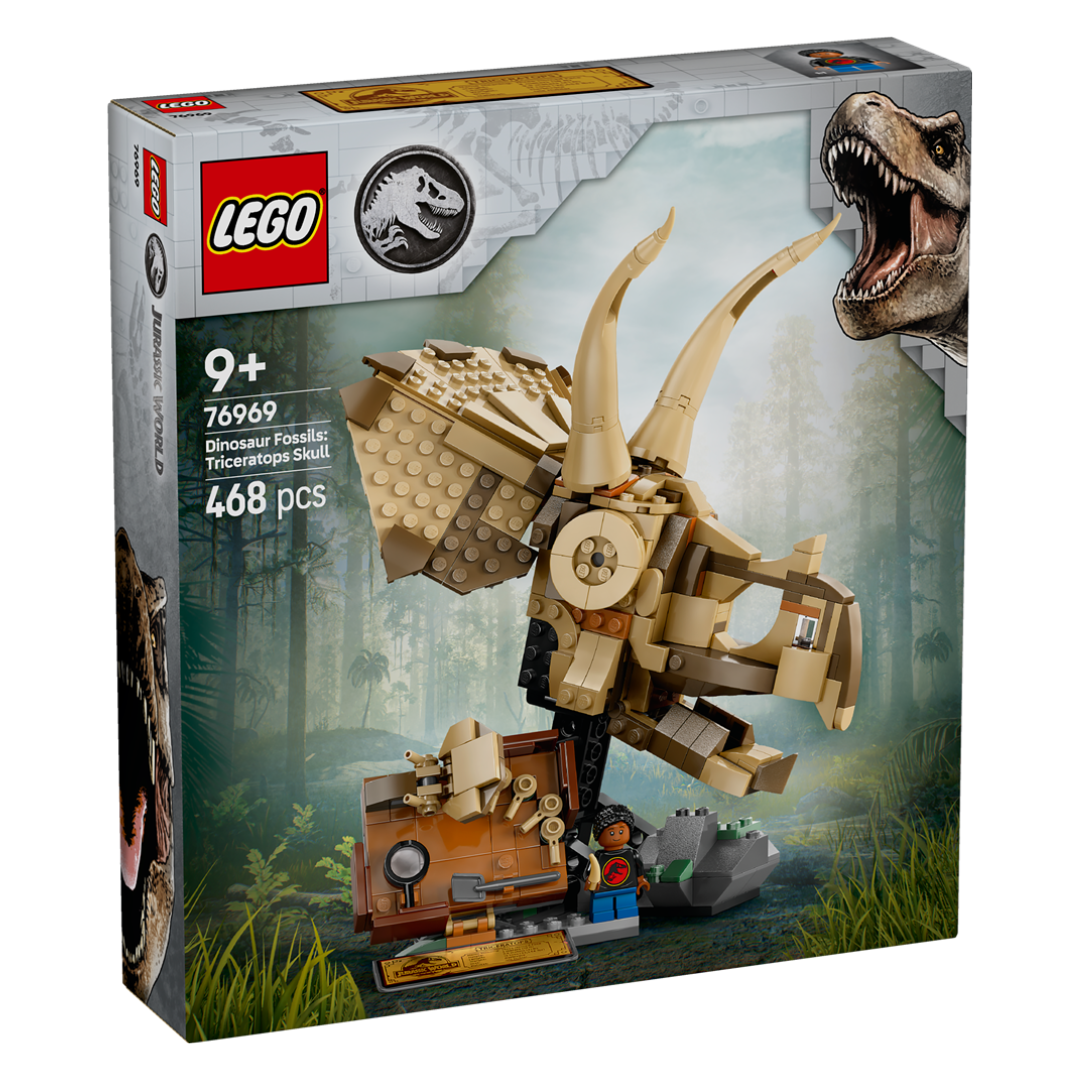 Dinosaur Fossils: Triceratop.. V29 1