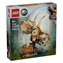 Dinosaur Fossils: Triceratop.. V29 1