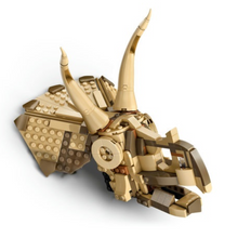 Dinosaur Fossils: Triceratop.. V29 2