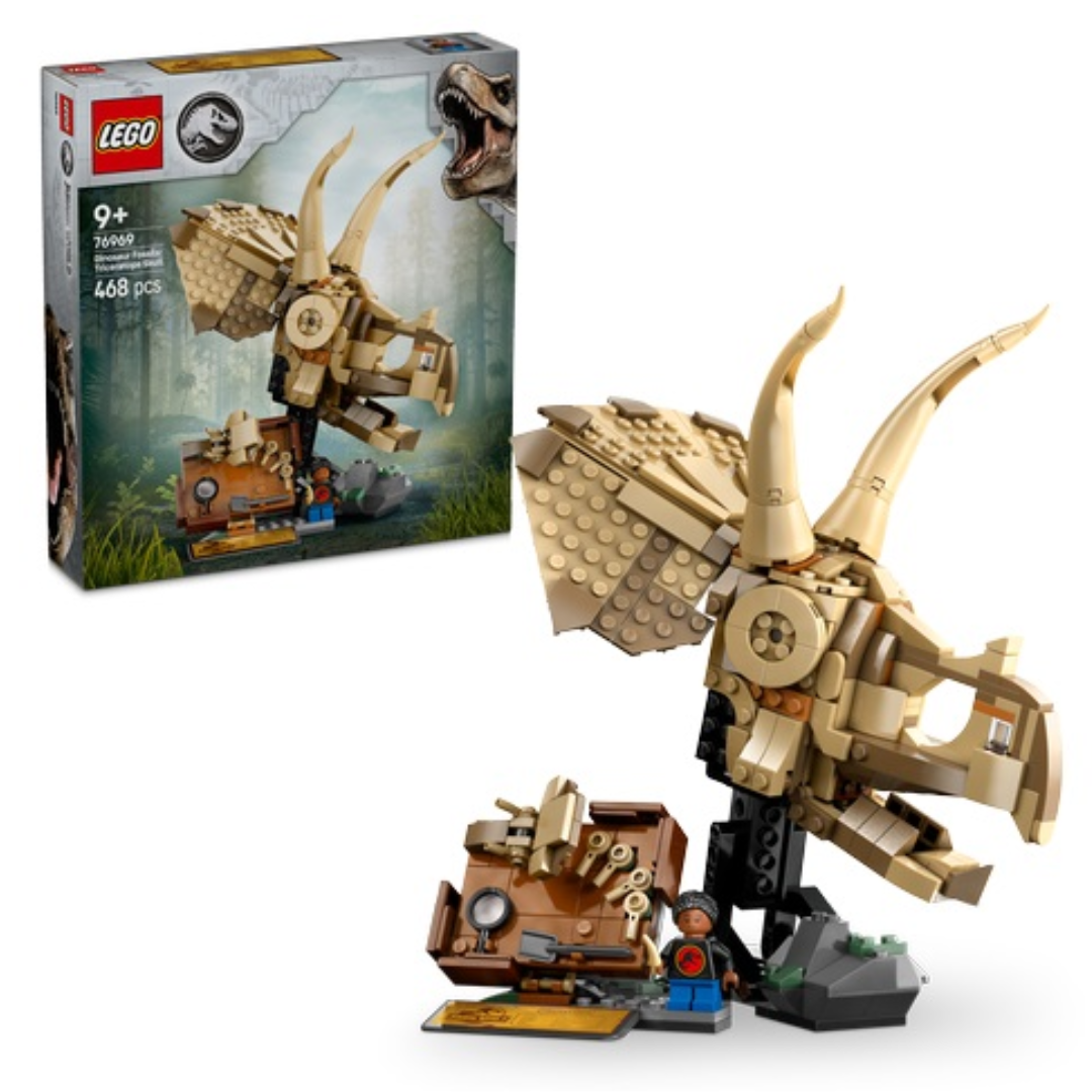 Dinosaur Fossils: Triceratop.. V29 3