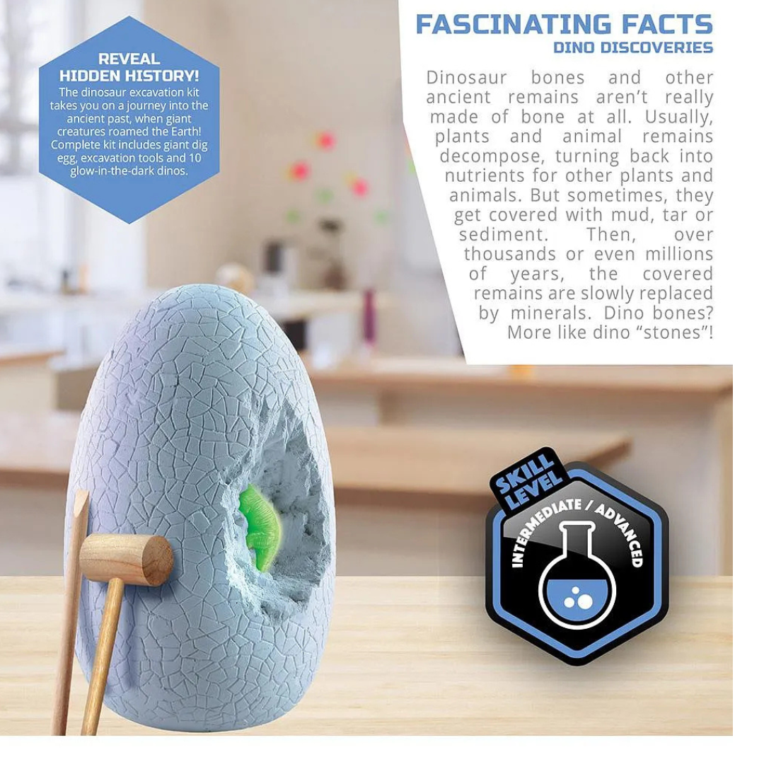 Discovery Science Toy Dinosaur Excavation Jumbo Egg 13 Pc Set4