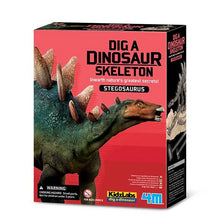 4M Kidz Labs - Dig A Dinosaur Skeleton - Stegosaur