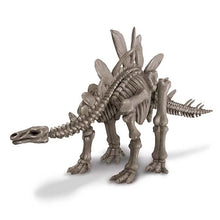 4M Kidz Labs - Dig A Dinosaur Skeleton - Stegosaur