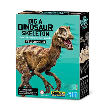 4M Dig A Dinosaur Skeleton