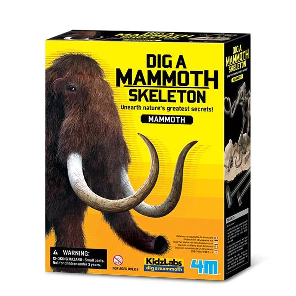 4M Kidz Labs / Mammoth Skeleton Excavation