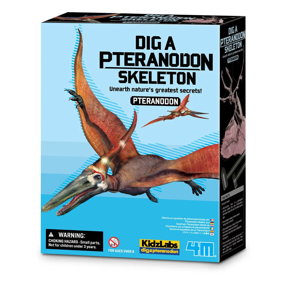 4M Kidz Labs - Dig A Dinosaur Skeleton - Pteranodon