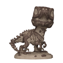 Funko Pop Super! Movies: Jurassic Park- Velociraptor(Fossil)