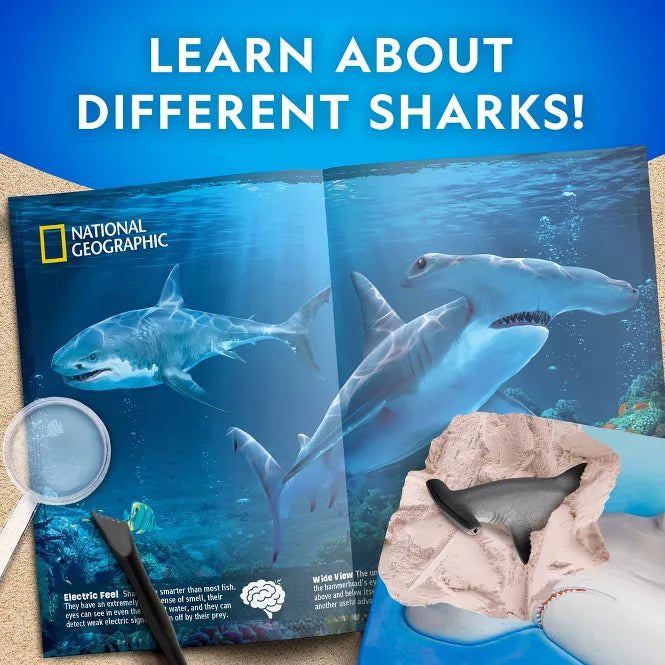 Nat Geo Hammerhead Shark Dig Kit