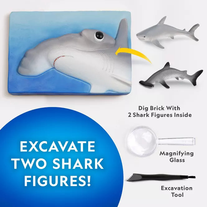 Nat Geo Hammerhead Shark Dig Kit