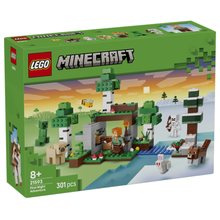 LEGO: Minecraft - First Night Adventure V29 (21593)
