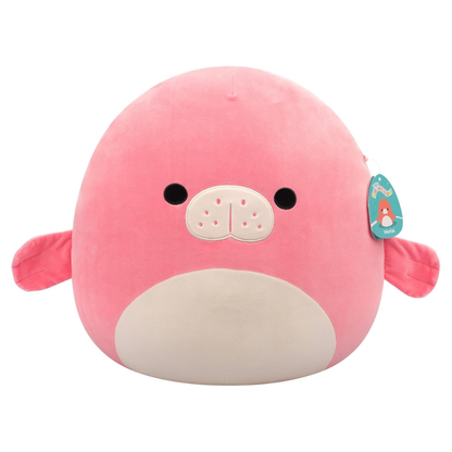 Medium Plush Squishmallows 12” -Morlai - Coral Manatee - Fuzzamallows