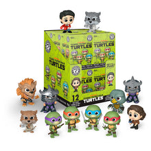 Mytery Mini! Animation: Teenage Mutant Ninja Turtles 2 2