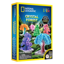 Nat Geo Crystal Forest 1
