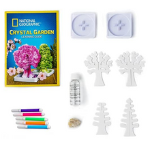 Nat Geo Crystal Garden 2