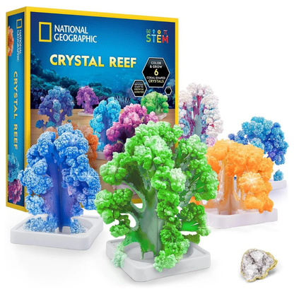 Nat Geo Crystal Reef Coral Growing Lab