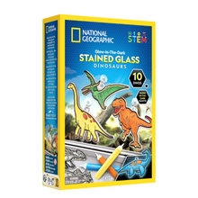 Nat Geo Gid Stained Glass Dinosaurs 1