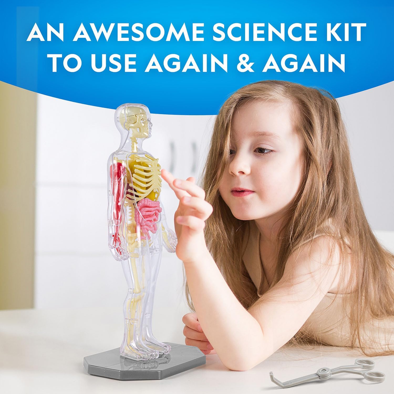 Nat Geo Glow-In-The-Dark Human Body 3