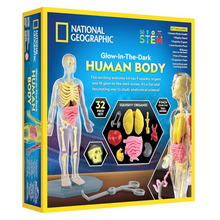 Nat Geo Glow-In-The-Dark Human Body 3