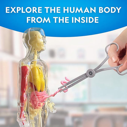 Nat Geo Glow-In-The-Dark Human Body 4