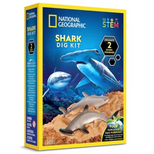 Nat Geo Hammerhead Shark Dig Kit 1