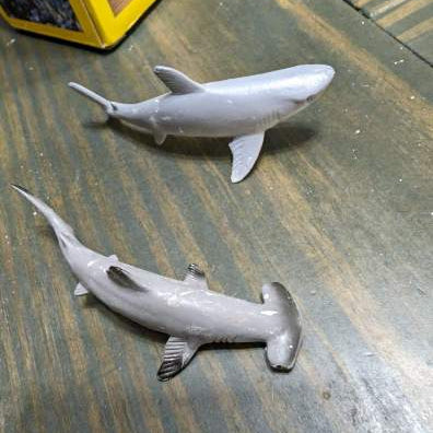 Nat Geo Hammerhead Shark Dig Kit 4