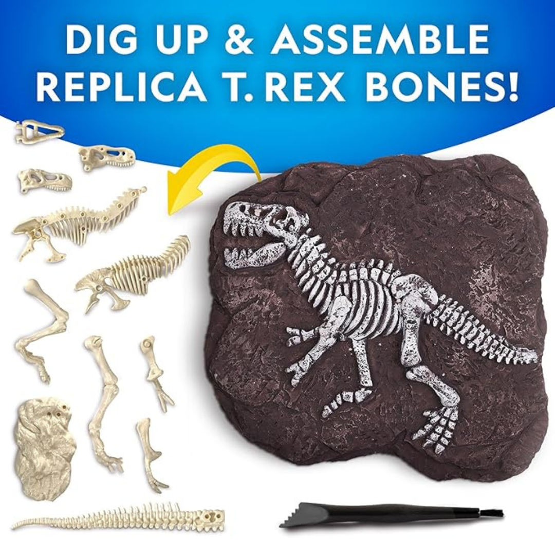 Nat Geo Tyrannosaurus Rex Dig Kit 3
