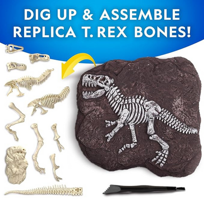 Nat Geo Tyrannosaurus Rex Dig Kit 3