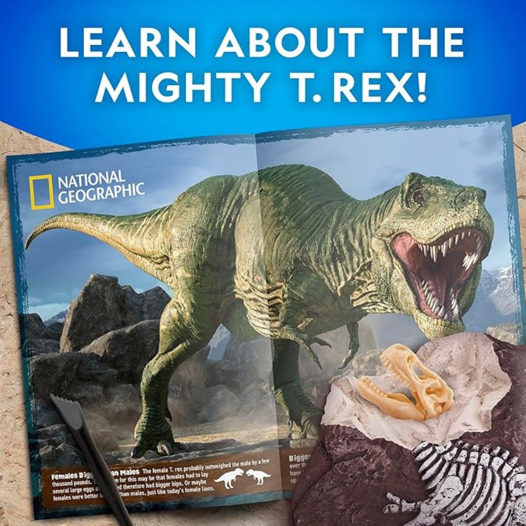 Nat Geo Tyrannosaurus Rex Dig Kit 