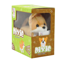 Pugs At Play Flipping Dixie 3