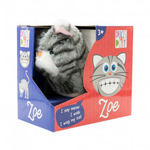 Pugs At Play Walking Zoe Cat 1