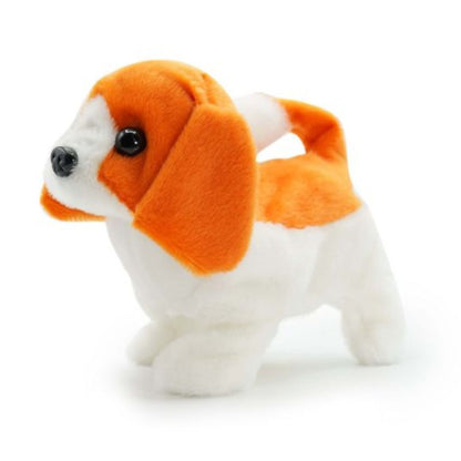 Pugs at Play - Buddy Walking Dog 2