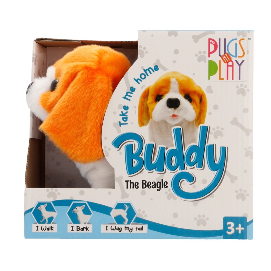 Pugs at Play - Buddy Walking Dog 2