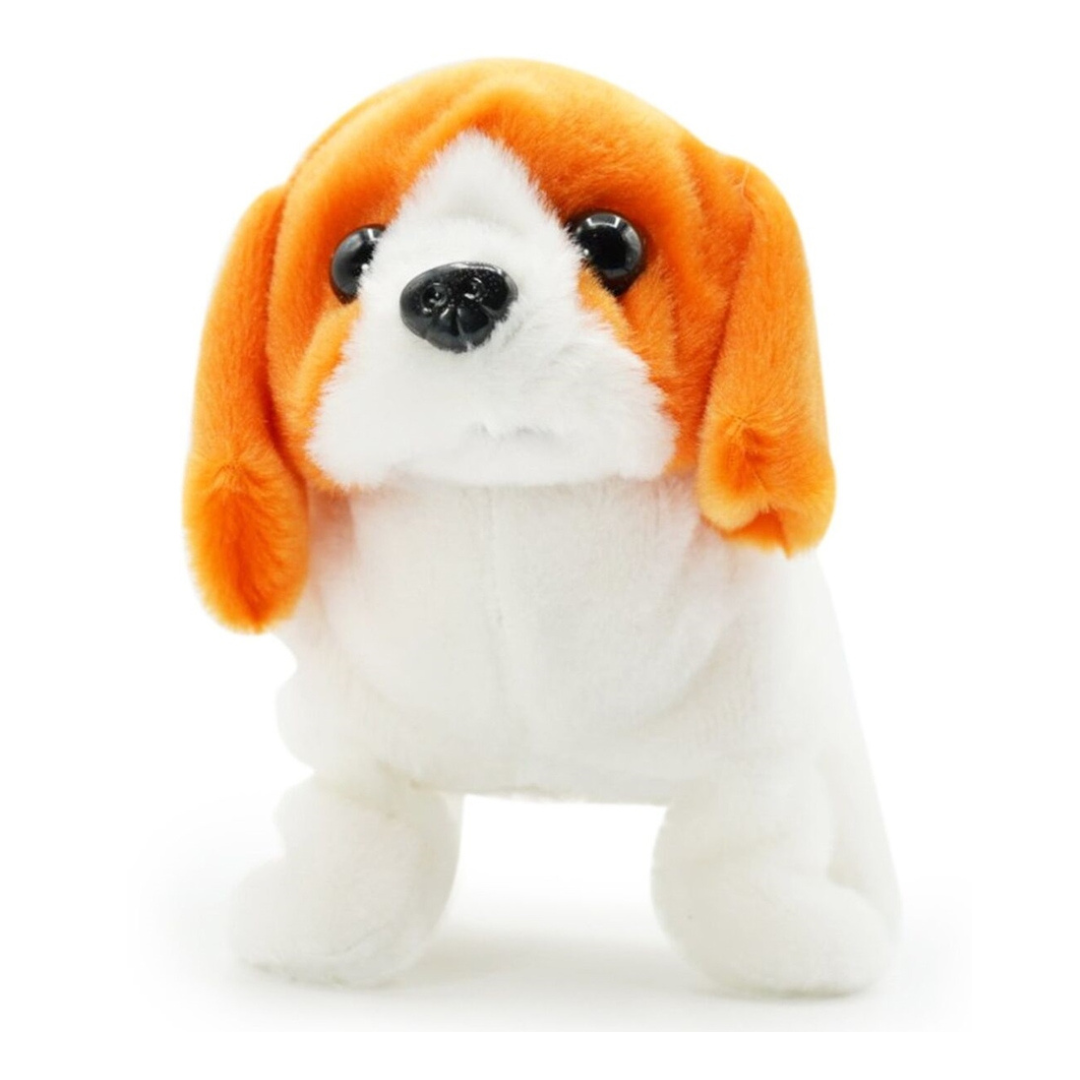 Pugs at Play - Buddy Walking Dog  3