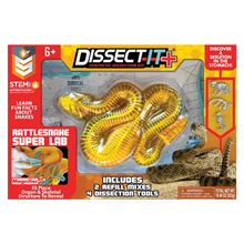 Slimy Dissect-It In Giftbox - Rattlesnake 1