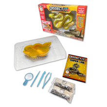 Slimy Dissect-It In Giftbox - Rattlesnake 2