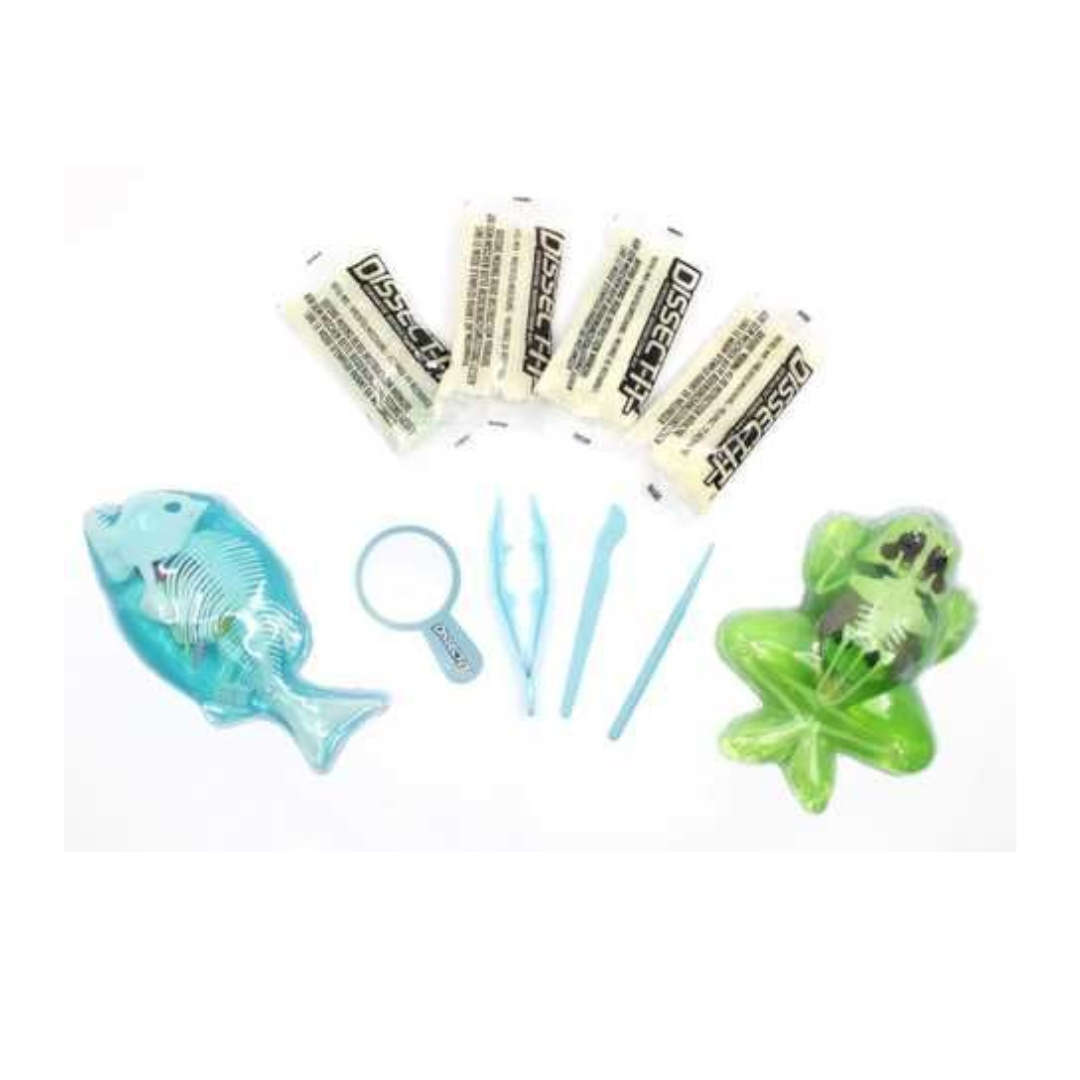 Slimy Dissect-It Megalab Frog & Piranha W Magnify Glass & Refill 3
